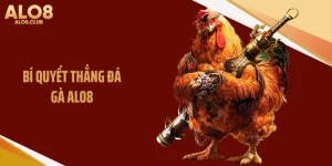 Bí Quyết Thắng Đá Gà ALO8 Giúp Tăng Cơ Hội Thành Công