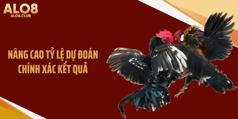 Nâng cao tỷ lệ dự đoán chính xác kết quả