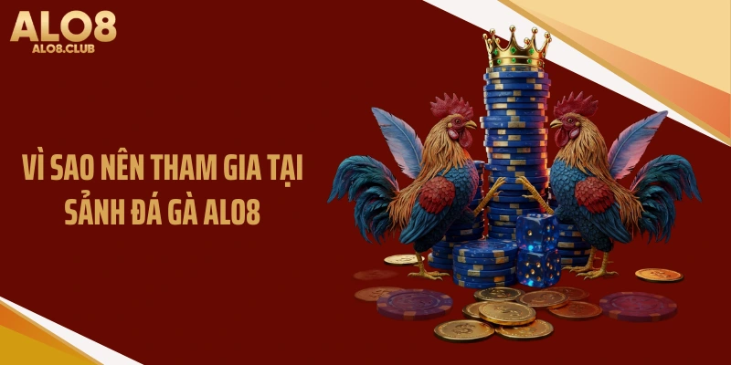 Vì sao nên tham gia tại sảnh đá gà ALO8